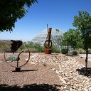 arizona from kells camera - IMG_3170